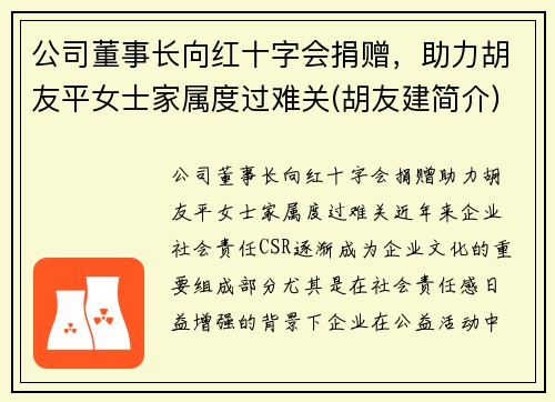 公司董事长向红十字会捐赠，助力胡友平女士家属度过难关(胡友建简介)