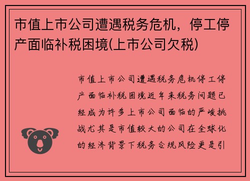 市值上市公司遭遇税务危机，停工停产面临补税困境(上市公司欠税)