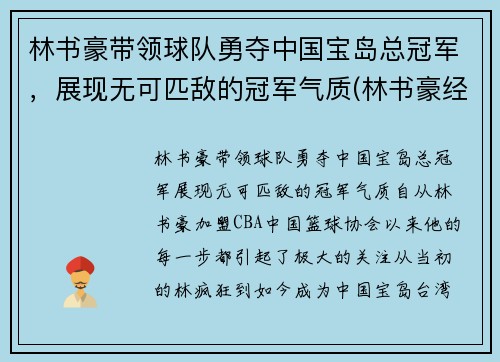 林书豪带领球队勇夺中国宝岛总冠军，展现无可匹敌的冠军气质(林书豪经典比赛)