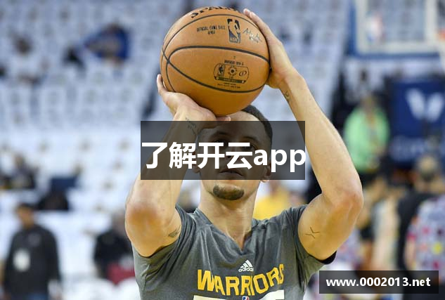 了解开云app